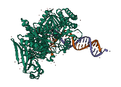 RTX Protein Structure